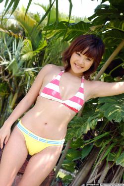 南风知我意剧情介绍